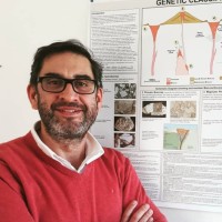 Juan Hermosilla Bravo