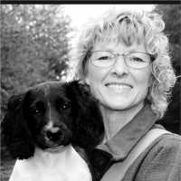 Eva Lillesøe