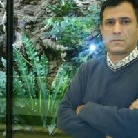 Mohammad Reza Khaki
