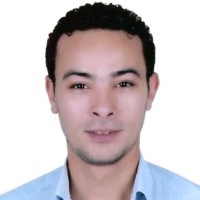 Gharieb Youssef