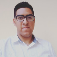 Diego Mauricio Requena Rivero