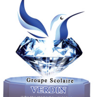 gs verdin