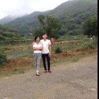 陈锡金