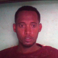 adhanom kiros