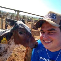 Rogerinho MasterVet