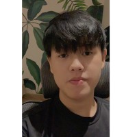Ngo Minh