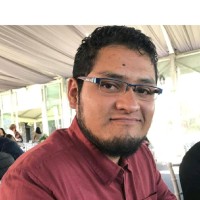 Gerardo David Ortega Alegre