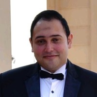 Mohamed Ahmed Abdelaal