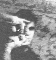 Александр Ладыка