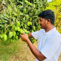 Sridhar Marripally
