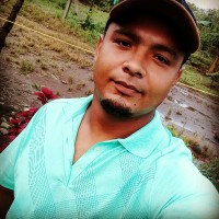Warner Mena