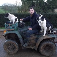 Phil Pearse