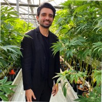 Sean Akhavan