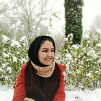Razieh HosseinZadeh
