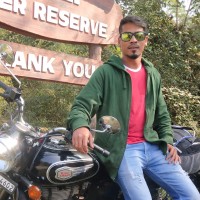 Vinay K N