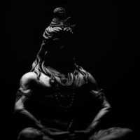 Anil Saini