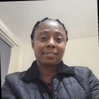 Oluwaseyi Adebekun
