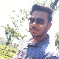 Salman Ansari