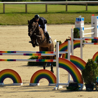 Martien van der Hoeven