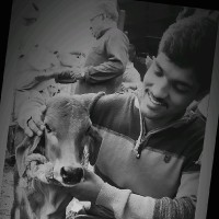 Revanth kumar Sandhiri