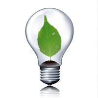 Eco Electrical