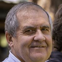 Greg Hollmann
