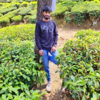 Sharan P