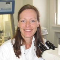 Mette Villingshøj