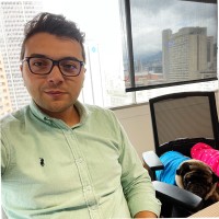 Juan Manuel Vargas Ardila
