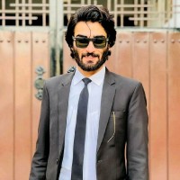 Raees Ali Shah