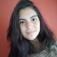 Silvina Castillo