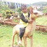 Hari Muduli