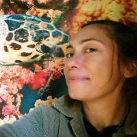 Pinar Ertan