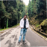 Ritwik Roy