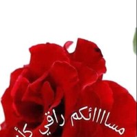 Olla Hafez