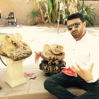 Raj Rakholia