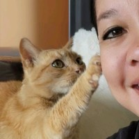 Small Pet Animals LLC