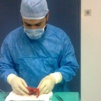 Ahmed Mohamed Darwish