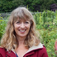 Barbara King