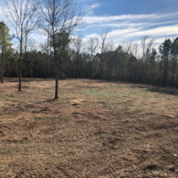 CL (Fernando Schrock