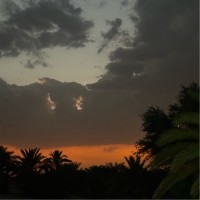هياء السبيعي