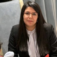Elahe Mohammadi Variani