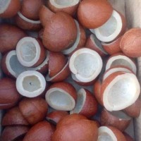 Adiyamam Exporters