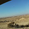 יניב שוסט