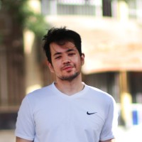 Arman Amraei