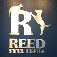 Jay Reed