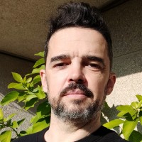 mingo latorre paloma