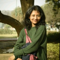 Bushra N