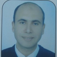 Hosam Hassan (Milatry)