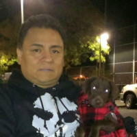 Luis Pacheco